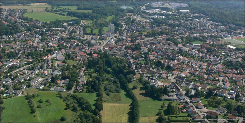 Waldhmor 1