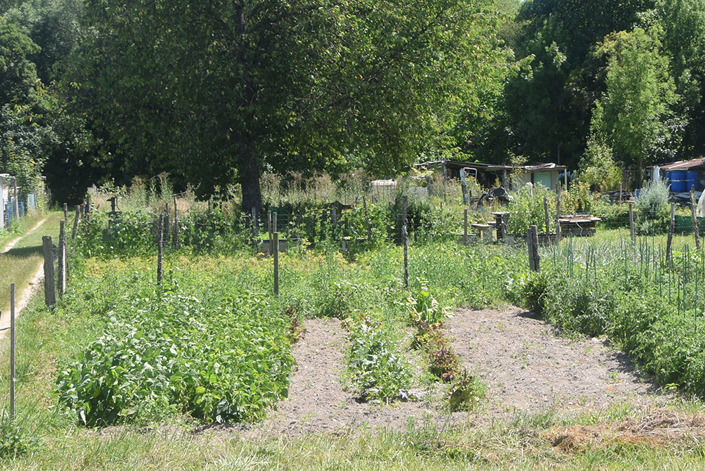 jardin