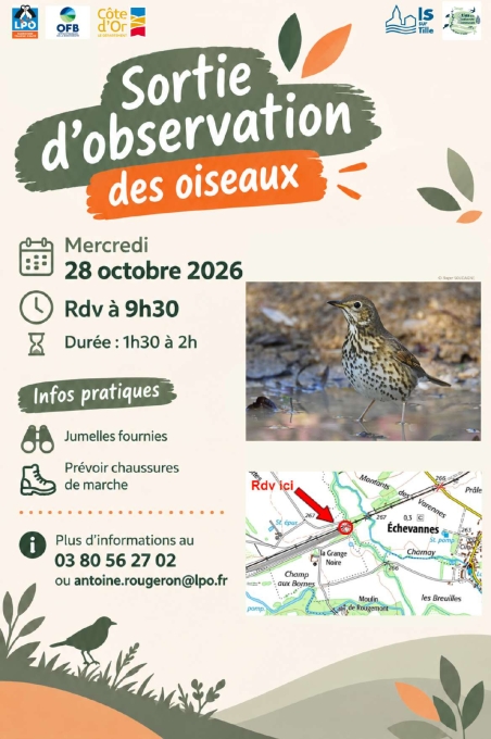 Affiche_Sortie_LPO